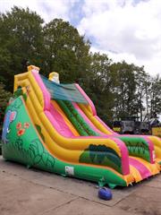 Medium Slide Inflatables